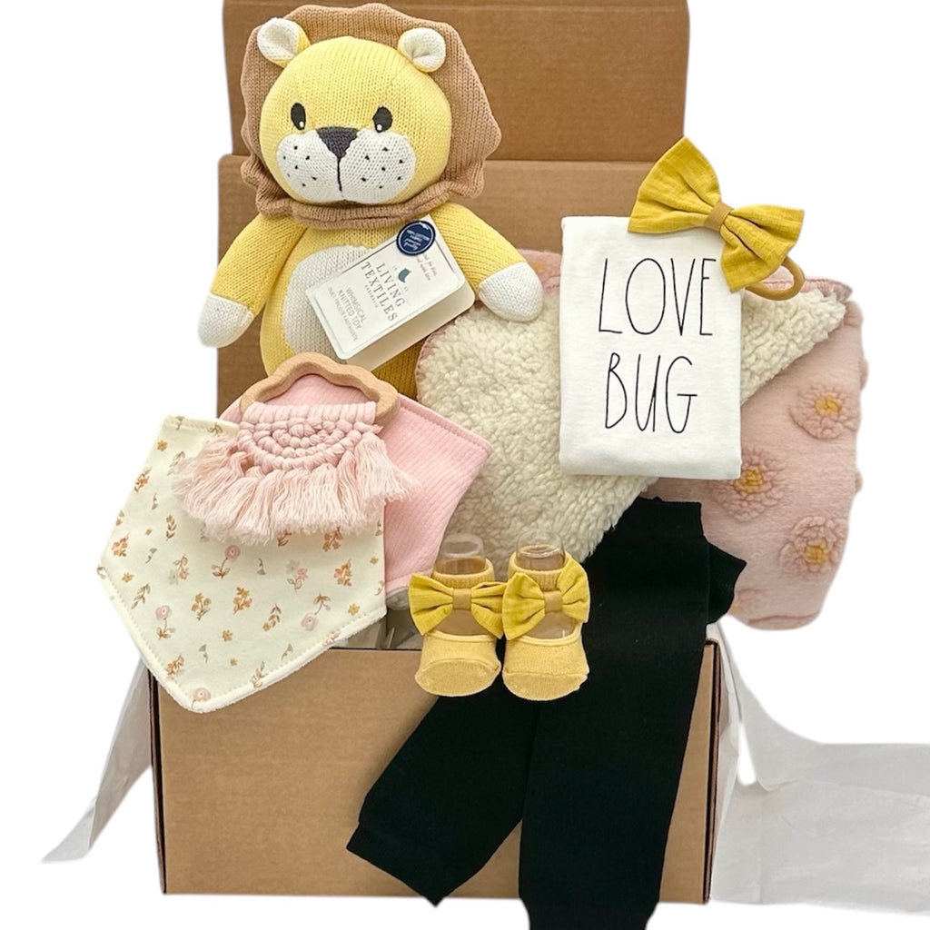 Little Love Bug Luxury Baby Girl Gift Box | Blush Newborn Gift Set | Baby Shower Gift | Modern Baby Girl Gift
