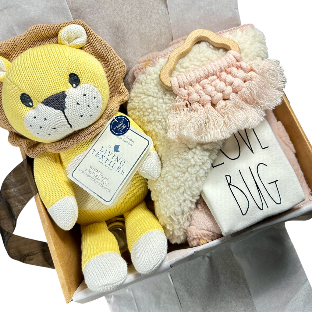 Little Love Bug Luxury Baby Girl Gift Box | Blush Newborn Gift Set | Baby Shower Gift | Modern Baby Girl Gift